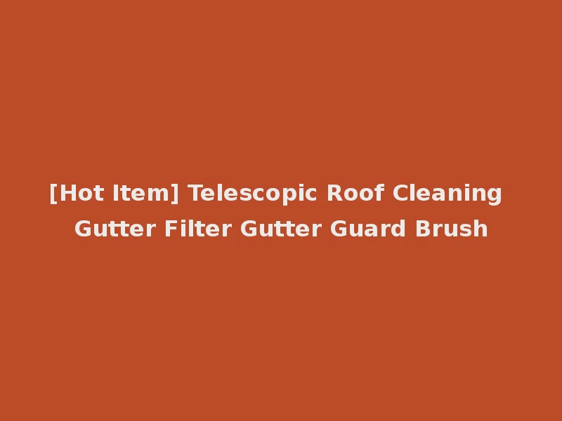 [Hot Item] Telescopic Roof Cleaning Gutter Filter Gutter Guard Brush