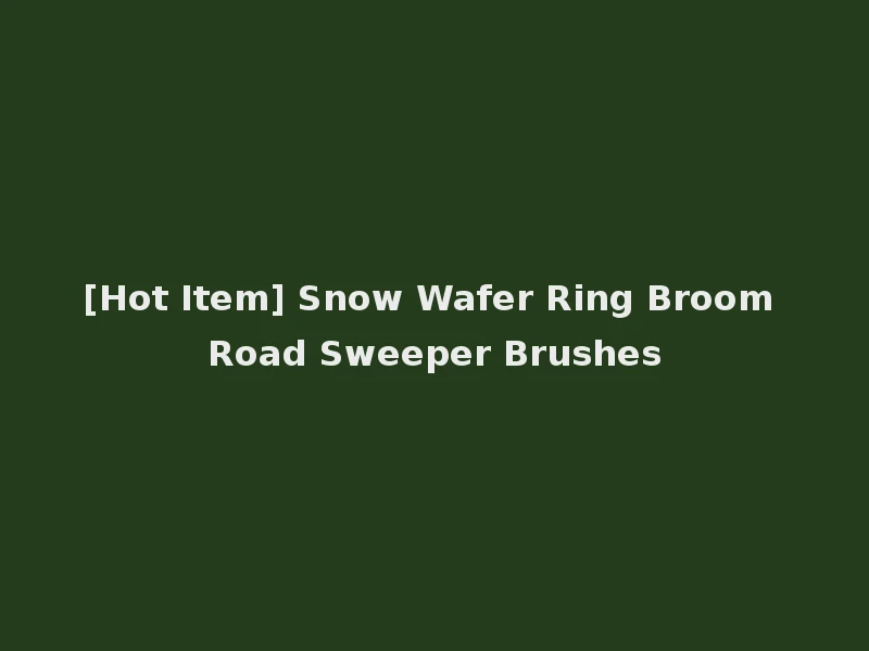 [Hot Item] Snow Wafer Ring Broom Road Sweeper Brushes