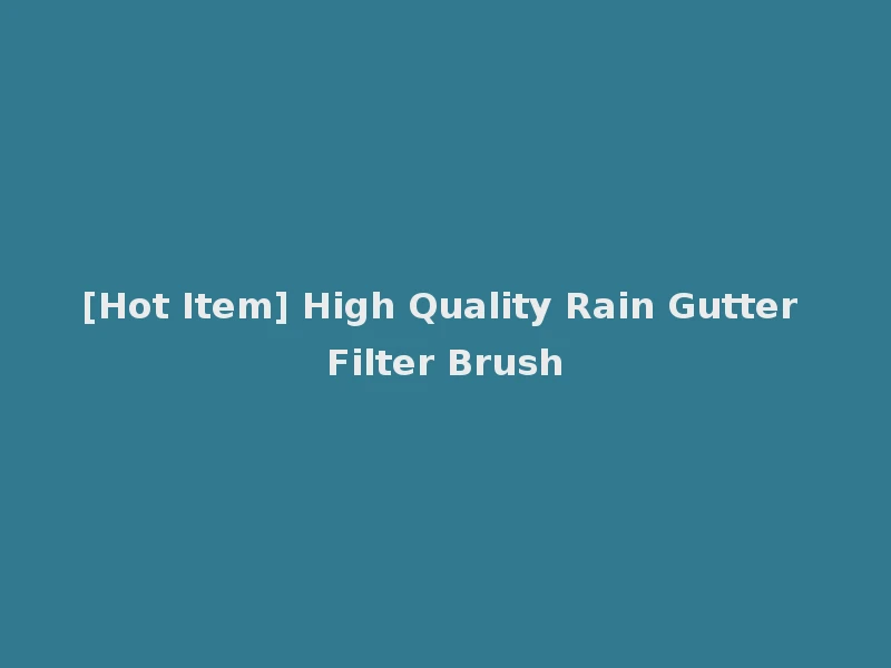 [Hot Item] High Quality Rain Gutter Filter Brush