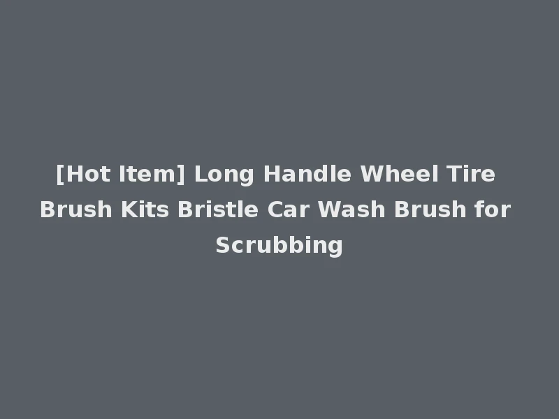 [Hot Item] Long Handle Wheel Tire Brush Kits Bristle Car Wash Brush for Scrubbing