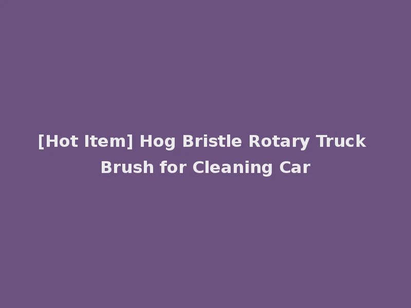 [Hot Item] Hog Bristle Rotary Truck Brush for Cleaning Car