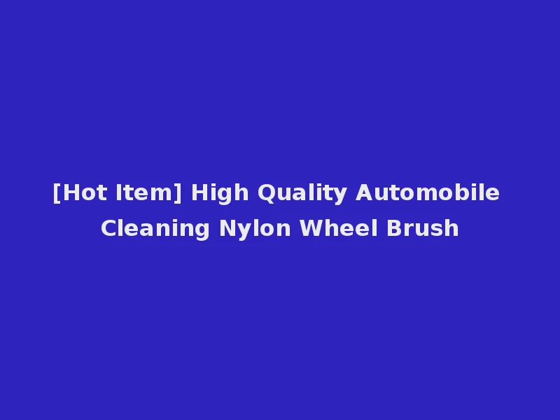 [Hot Item] High Quality Automobile Cleaning Nylon Wheel Brush