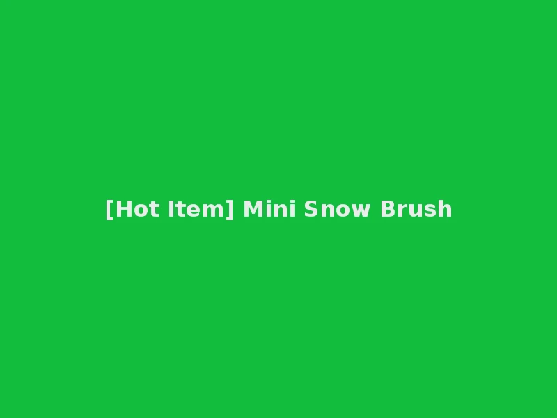 [Hot Item] Mini Snow Brush