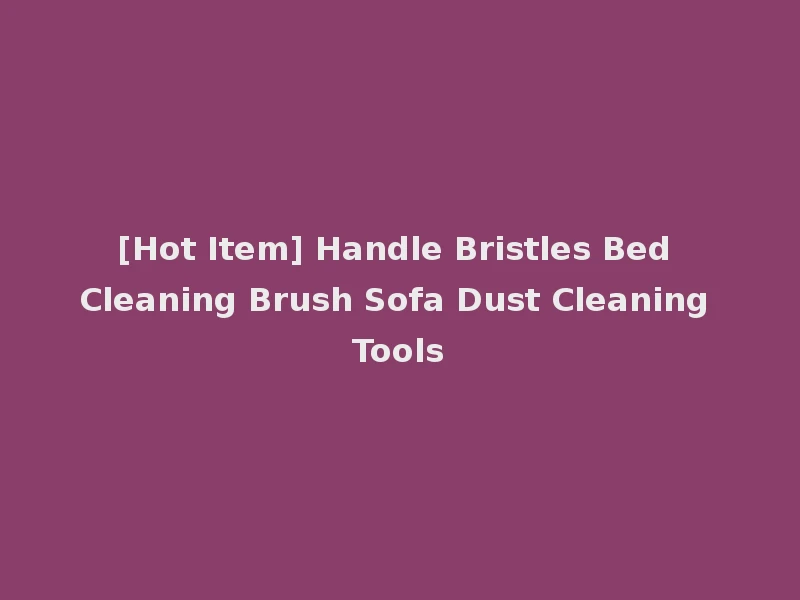 [Hot Item] Handle Bristles Bed Cleaning Brush Sofa Dust Cleaning Tools