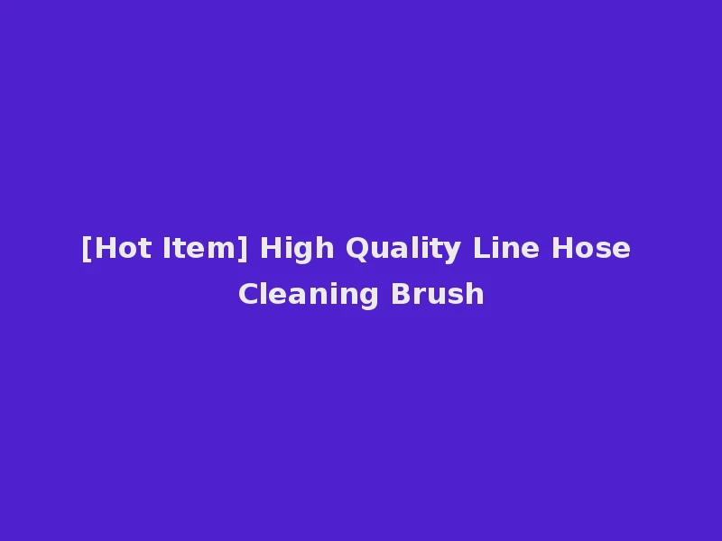 [Hot Item] High Quality Line Hose Cleaning Brush