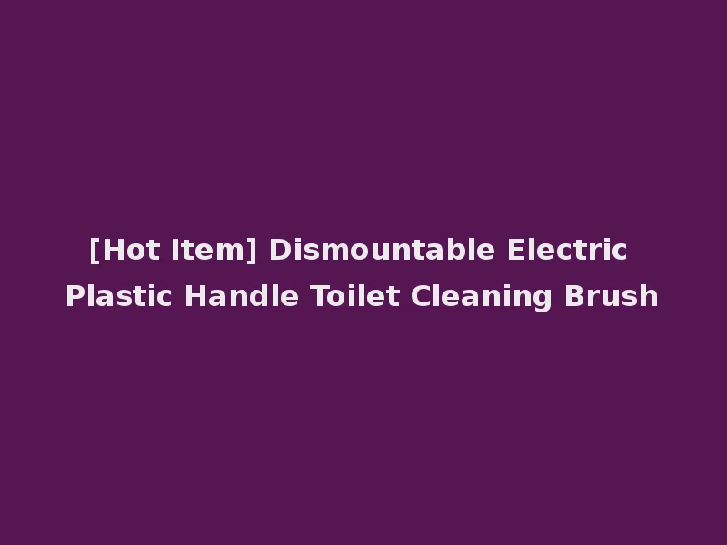[Hot Item] Dismountable Electric Plastic Handle Toilet Cleaning Brush