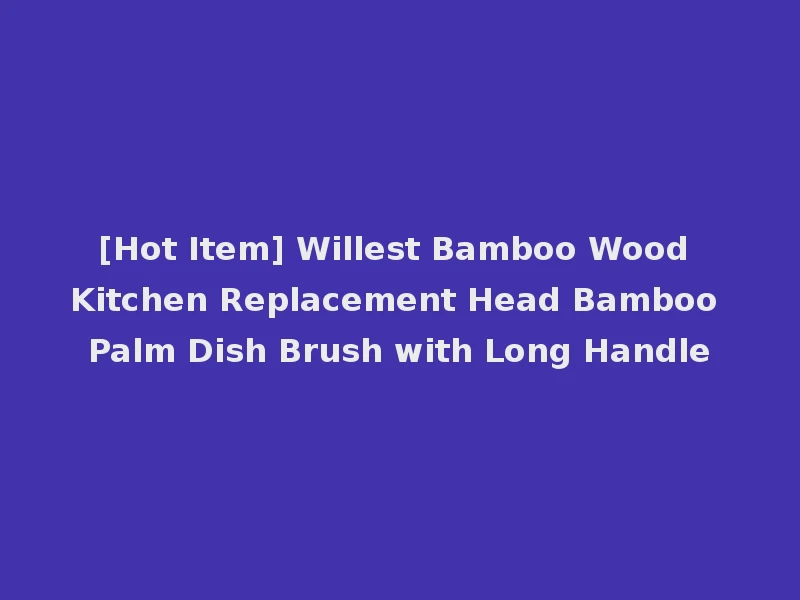 [Hot Item] Willest Bamboo Wood Kitchen Replacement Head Bamboo Palm Dish Brush with Long Handle