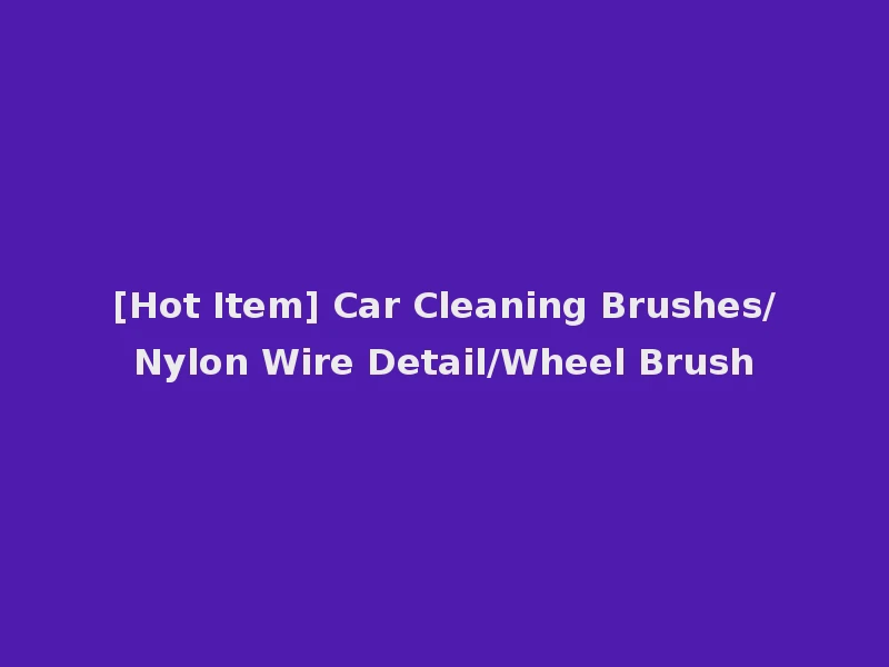 [Hot Item] Car Cleaning Brushes/Nylon Wire Detail/Wheel Brush