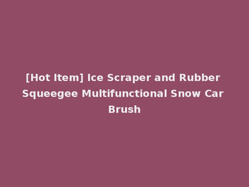 [Hot Item] Ice Scraper and Rubber Squeegee Multifunctional Snow Car Brush