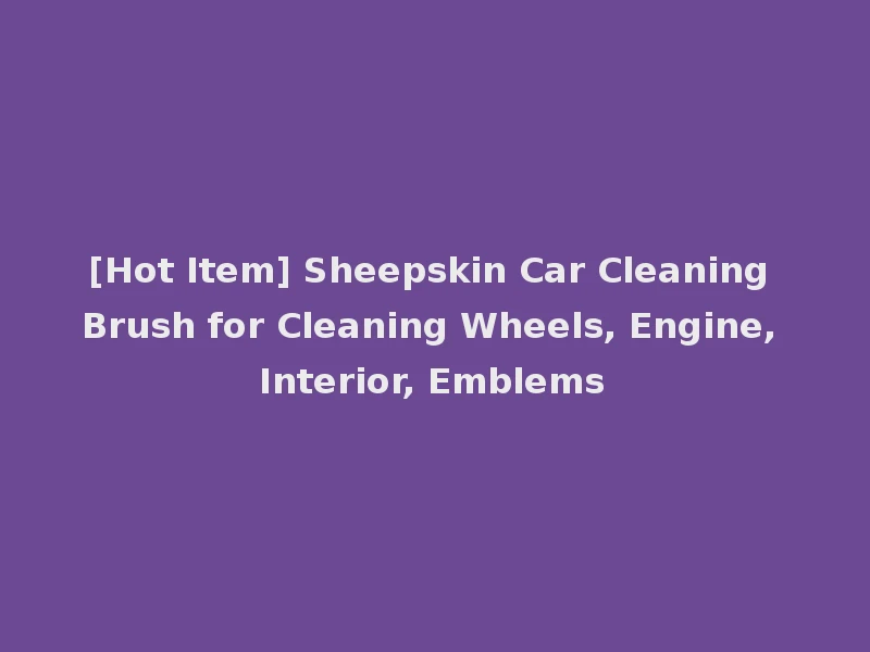 [Hot Item] Sheepskin Car Cleaning Brush for Cleaning Wheels, Engine, Interior, Emblems