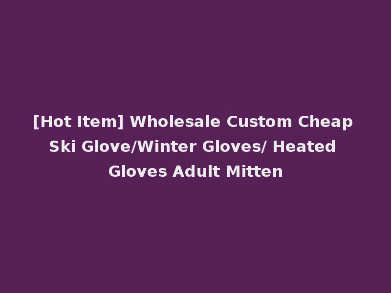 [Hot Item] Wholesale Custom Cheap Ski Glove/Winter Gloves/ Heated Gloves Adult Mitten