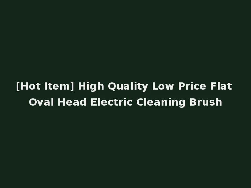 [Hot Item] High Quality Low Price Flat Oval Head Electric Cleaning Brush
