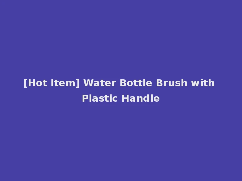 [Hot Item] Water Bottle Brush with Plastic Handle