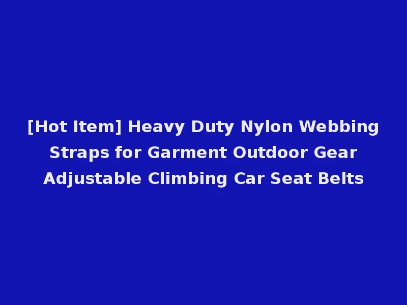 [Hot Item] Heavy Duty Nylon Webbing Straps for Garment Outdoor Gear Adjustable Climbing Car Seat Belts