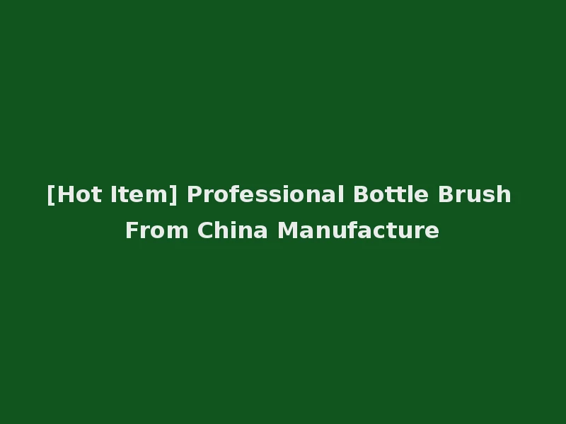 [Hot Item] Professional Bottle Brush From China Manufacture