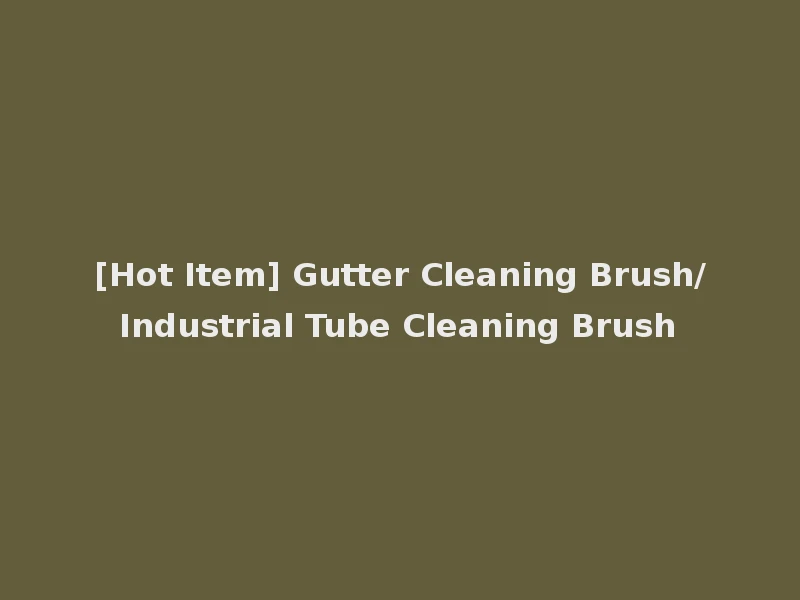 [Hot Item] Gutter Cleaning Brush/Industrial Tube Cleaning Brush