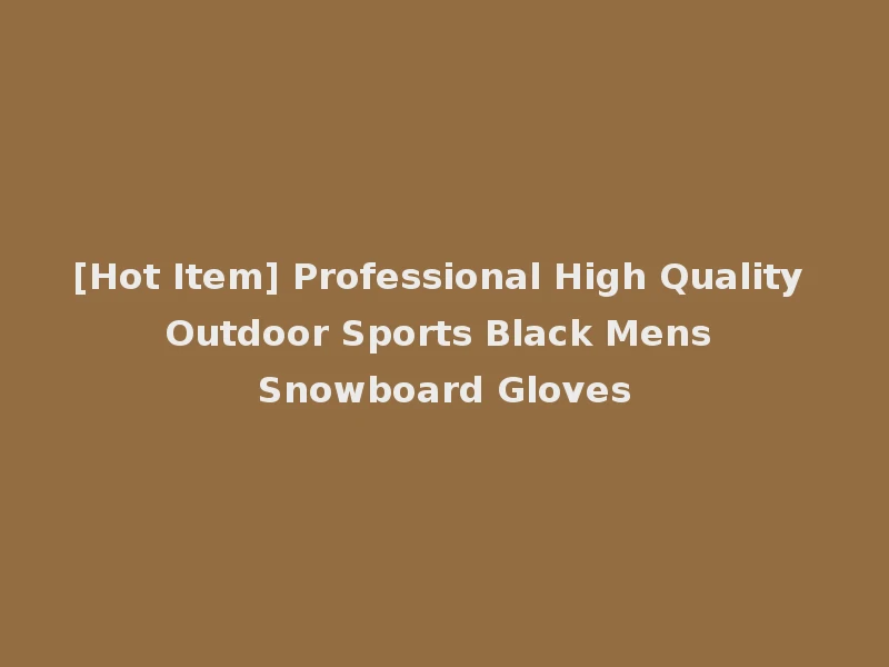[Hot Item] Professional High Quality Outdoor Sports Black Mens Snowboard Gloves