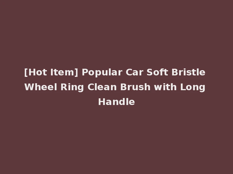 [Hot Item] Popular Car Soft Bristle Wheel Ring Clean Brush with Long Handle