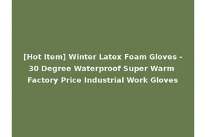 [Hot Item] Winter Latex Foam Gloves -30 Degree Waterproof Super Warm Factory Price Industrial Work Gloves
