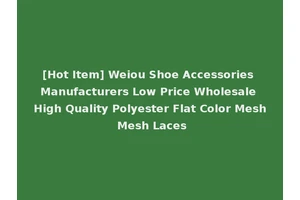 [Hot Item] Weiou Shoe Accessories Manufacturers Low Price Wholesale High Quality Polyester Flat Color Mesh Mesh Laces