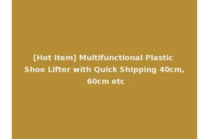 [Hot Item] Multifunctional Plastic Shoe Lifter with Quick Shipping 40cm, 60cm etc