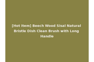 [Hot Item] Beech Wood Sisal Natural Bristle Dish Clean Brush with Long Handle