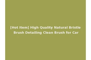 [Hot Item] High Quality Natural Bristle Brush Detailing Clean Brush for Car