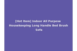 [Hot Item] Indoor All Purpose Housekeeping Long Handle Bed Brush Sofa