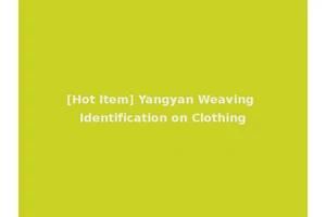 [Hot Item] Yangyan Weaving Identification on Clothing