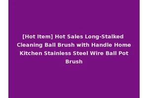 [Hot Item] Hot Sales Long-Stalked Cleaning Ball Brush with Handle Home Kitchen Stainless Steel Wire Ball Pot Brush