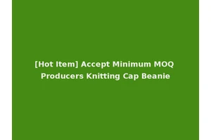 [Hot Item] Accept Minimum MOQ Producers Knitting Cap Beanie