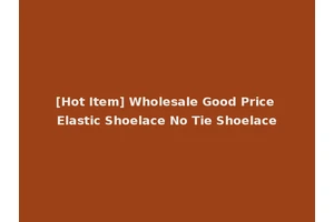 [Hot Item] Wholesale Good Price Elastic Shoelace No Tie Shoelace