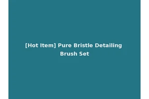 [Hot Item] Pure Bristle Detailing Brush Set