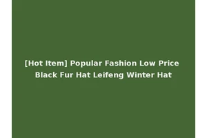 [Hot Item] Popular Fashion Low Price Black Fur Hat Leifeng Winter Hat
