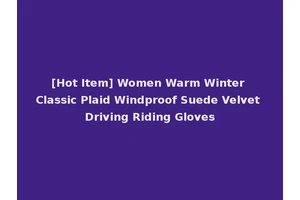 [Hot Item] Women Warm Winter Classic Plaid Windproof Suede Velvet Driving Riding Gloves
