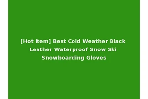 [Hot Item] Best Cold Weather Black Leather Waterproof Snow Ski Snowboarding Gloves