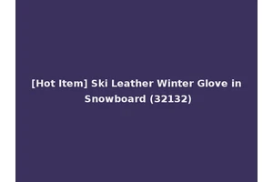 [Hot Item] Ski Leather Winter Glove in Snowboard (32132)