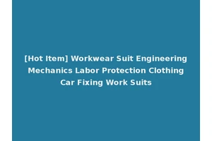 [Hot Item] Workwear Suit Engineering Mechanics Labor Protection Clothing Car Fixing Work Suits