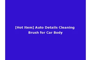 [Hot Item] Auto Details Cleaning Brush for Car Body