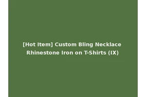 [Hot Item] Custom Bling Necklace Rhinestone Iron on T-Shirts (IX)