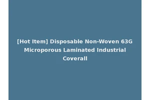 [Hot Item] Disposable Non-Woven 63G Microporous Laminated Industrial Coverall