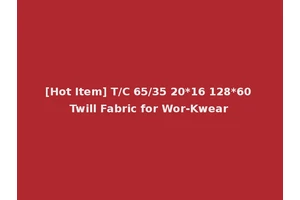 [Hot Item] T/C 65/35 20*16 128*60 Twill Fabric for Wor-Kwear