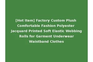 [Hot Item] Factory Custom Plush Comfortable Fashion Polyester Jacquard Printed Soft Elastic Webbing Rolls for Garment Underwear Waistband Clothes