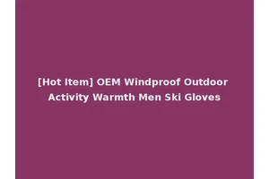 [Hot Item] OEM Windproof Outdoor Activity Warmth Men Ski Gloves