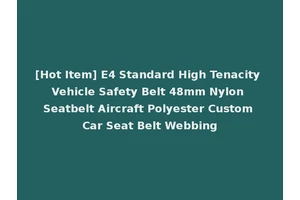 [Hot Item] E4 Standard High Tenacity Vehicle Safety Belt 48mm Nylon Seatbelt Aircraft Polyester Custom Car Seat Belt Webbing