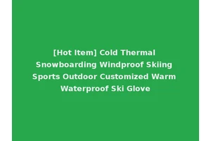 [Hot Item] Cold Thermal Snowboarding Windproof Skiing Sports Outdoor Customized Warm Waterproof Ski Glove