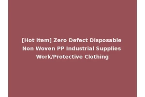 [Hot Item] Zero Defect Disposable Non Woven PP Industrial Supplies Work/Protective Clothing
