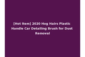 [Hot Item] 2020 Hog Hairs Plastic Handle Car Detailing Brush for Dust Removal