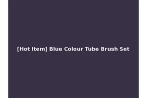 [Hot Item] Blue Colour Tube Brush Set