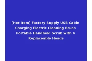 [Hot Item] Factory Supply USB Cable Charging Electric Cleaning Brush Portable Handheld Scrub with 4 Replaceable Heads